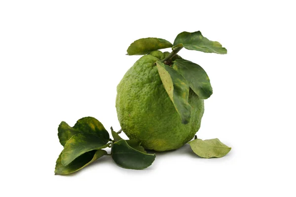 Citrus Medica Stor Citron Med Gröna Blad Isolat Vit Bakgrund — Stockfoto