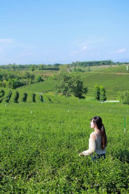Young woman stand in the tea plantation surrounded by sky and mountain view.  Choui Fong tea plantation at Chiangrai, Thailand. clipart