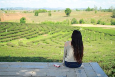 Chiangrai, Tayland 'daki Choui Fong çay tarlasına bakan genç bir kadın..