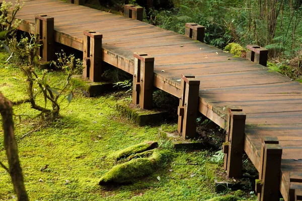 Die Alte Holzbrücke Alishan Wald — Stockfoto