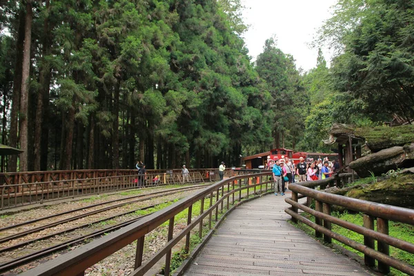 Alishan Taiwan Juni 2019 Tourist Alishan Bahnhof Auf Dem Alishan — Stockfoto