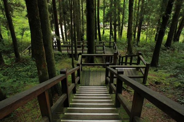 Schöner Holzsteg Alishan National Forest Recreation Area Chiayi County Gemeinde — Stockfoto