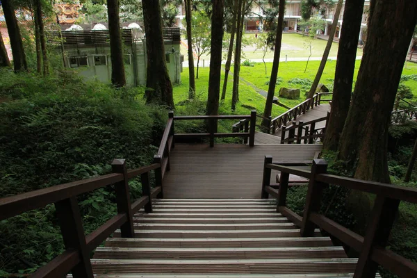 Chiayi County, Alishan Township, Tayvan 'daki Alishan Ulusal Orman Dinlenme Alanı' ndaki güzel ahşap yürüyüş yolu.