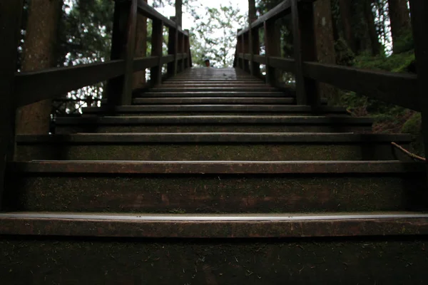 Close Escada Madeira Alishan National Forest Recreation Area Chiayi County — Fotografia de Stock