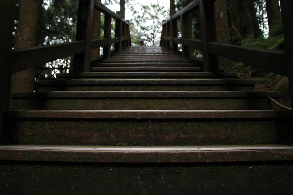 Nahaufnahme Einer Holztreppe Alishan National Forest Recreation Area Chiayi County — Stockfoto