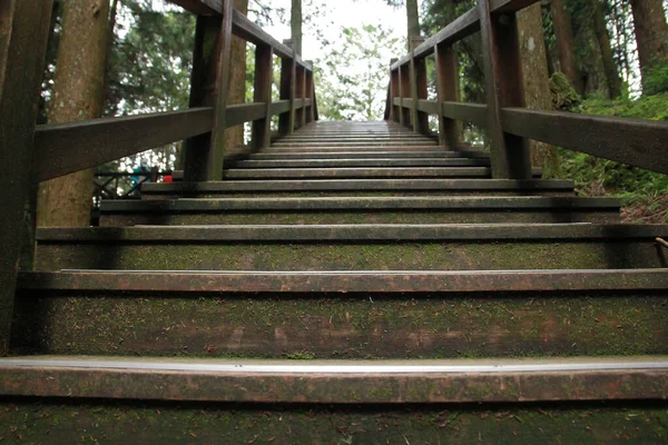 Detail Dřevěného Schodiště Alishan Národní Lesní Rekreační Oblasti Chiayi County — Stock fotografie