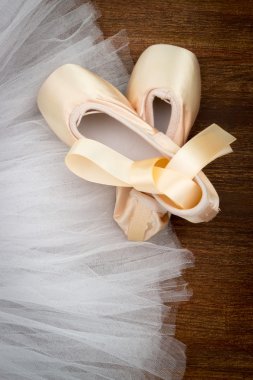 pointe shoes on the background Tutu clipart