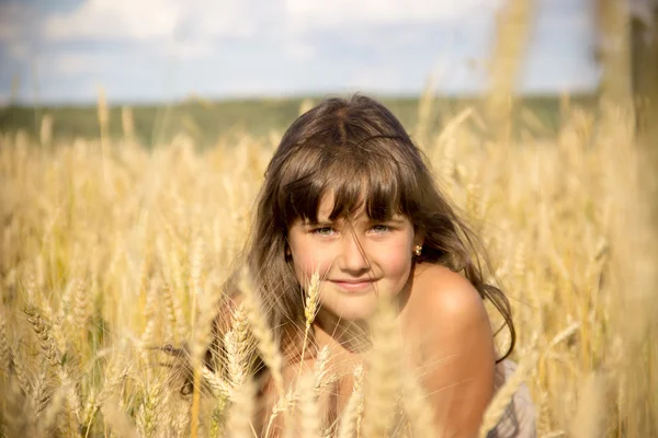 Tarweveld, korenbloemen, oren, blauwe hemel, zomer, girl 4-6 jaar — Stockfoto