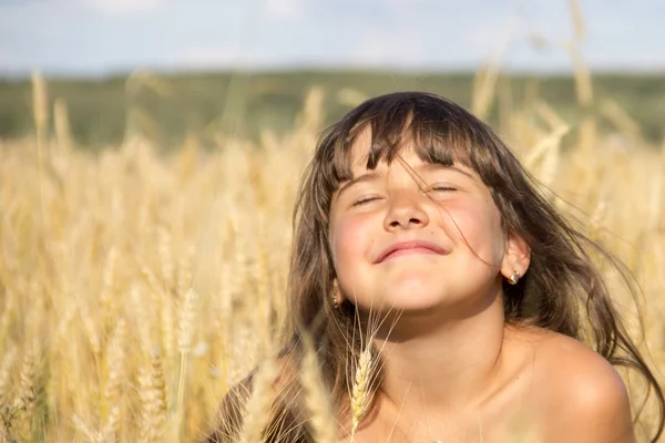 Campo de trigo, flores de milho, orelhas, céu azul, verão, menina 4-6 anos — Fotografia de Stock