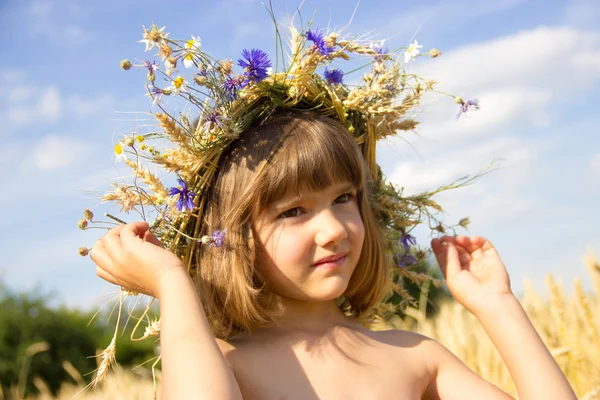 Pšeničné pole, chrpy, uši, modrá obloha, léto, holka 4-6 let — Stock fotografie