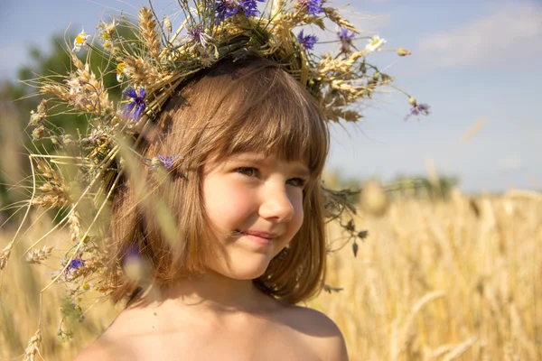 Campo de trigo, flores de milho, orelhas, céu azul, verão, menina 4-6 anos — Fotografia de Stock