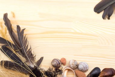 tüyler, taşlar, kabukları, çim, kır çiçekleri, deniz, şebeke