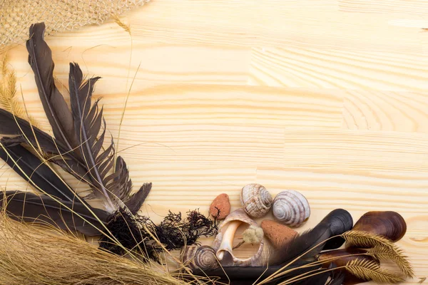 tüyler, taşlar, kabukları, çim, kır çiçekleri, deniz, şebeke