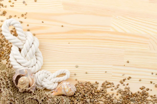 salyangoz bir ahşap yüzey, çakıl taşları, kabukları, çim, kır çiçekleri,