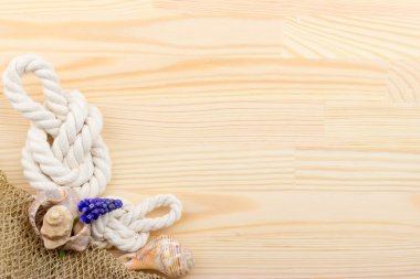 salyangoz bir ahşap yüzey, çakıl taşları, kabukları, çim, kır çiçekleri,