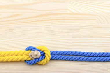 salyangoz bir ahşap yüzey, çakıl taşları, kabukları, çim, kır çiçekleri,