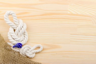 salyangoz bir ahşap yüzey, çakıl taşları, kabukları, çim, kır çiçekleri,