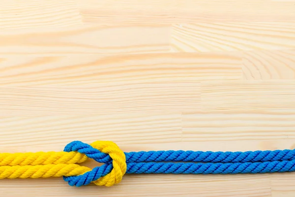 salyangoz bir ahşap yüzey, çakıl taşları, kabukları, çim, kır çiçekleri,