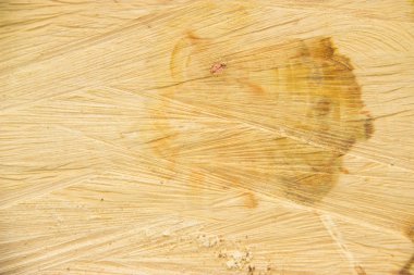 ahşap, ağaç kabuğu, odun yapısı, bir ağacını kesmek