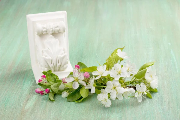 Apple blossom, cherry flowers on a turquoise background — Stock Photo, Image