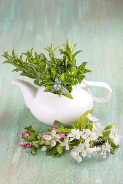 Teapot white, apple blossom, cherry blossom, mint, on turquoise — Stock Photo, Image