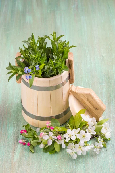 Houten Bad apple blossom kersenbloesem, munt, forget-me-not een — Stockfoto