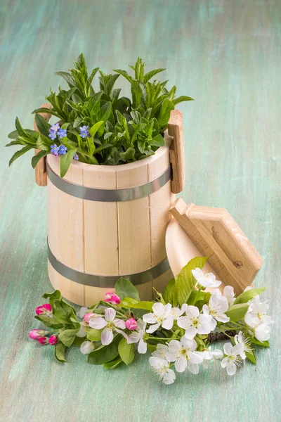 Vasca di legno, fiori di mela, fiori di ciliegio, menta, dimenticare-me-non un — Foto Stock