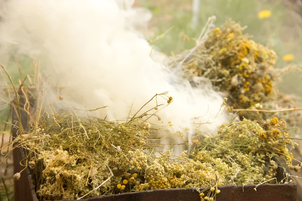 Суха лікарська трава освітлена, білий дим — стокове фото