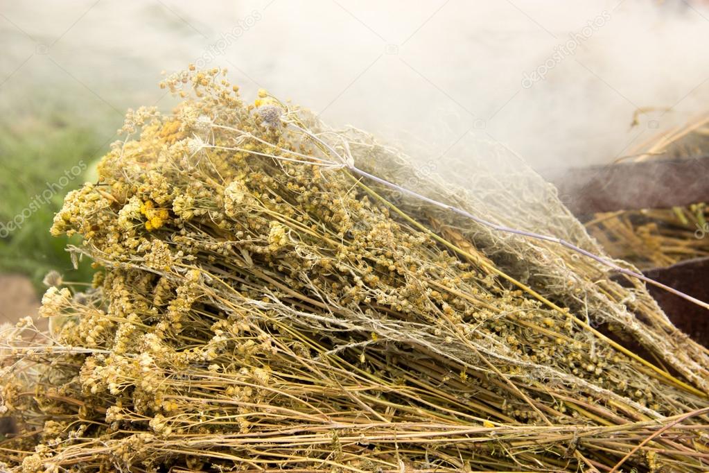 dried herbs, tansy, yarrow, wormwood, poppy, ear