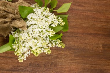 Beyaz Lila, leylak mor, beyaz sayfaya kalpler punc