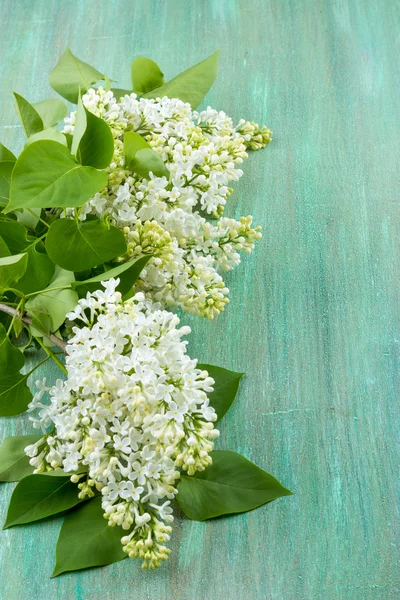 White lilac, lilac purple, white sheet of paper with hearts punc — Stock Photo, Image