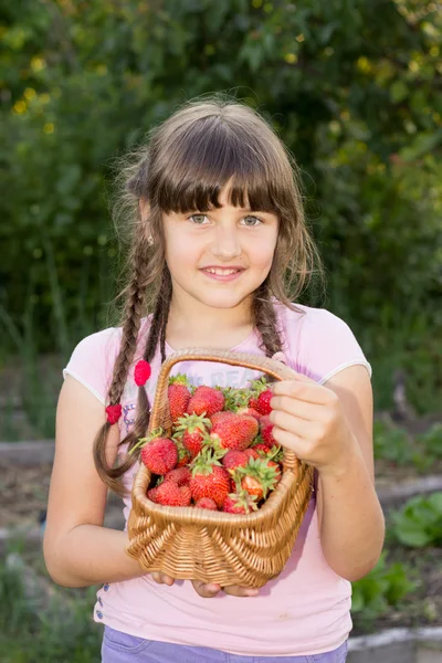 Mała dziewczynka, 8 lat, brunetka, trzymając Wiklinowy kosz wypełnić — Zdjęcie stockowe