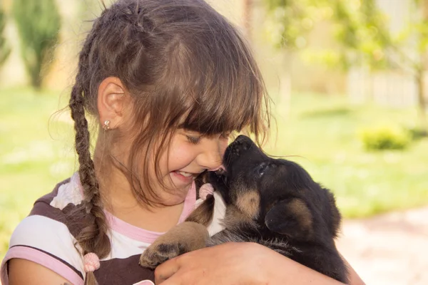 young girl, brunette, playing with puppies German shepherd on a 