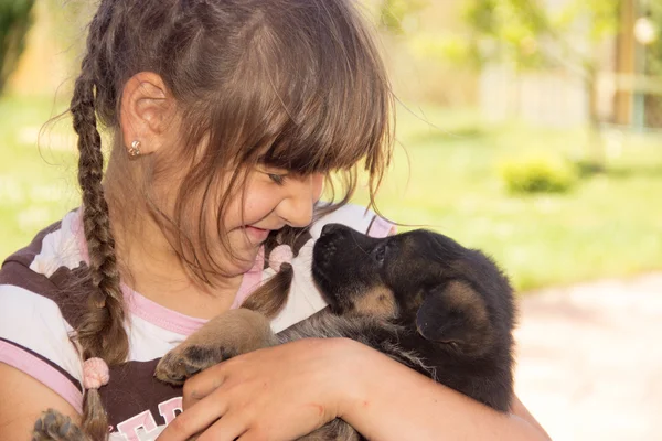 young girl, brunette, playing with puppies German shepherd on a 