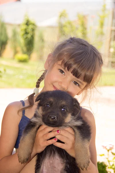 young girl, brunette, playing with puppies German shepherd on a 