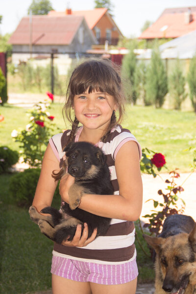 young girl, brunette, playing with puppies German shepherd on a 