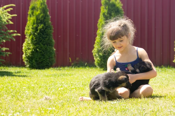 Молодая девушка, брюнетка, играет с щенками немецкая овчарка на — стоковое фото