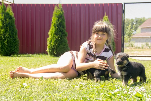 Joven, morena, jugando con cachorros pastor alemán en un — Foto de Stock