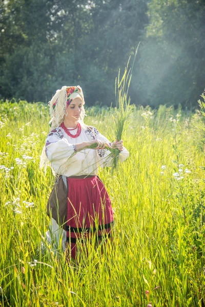 Young girl, Ukrainian national costume, works in the fields, rea — Zdjęcie stockowe