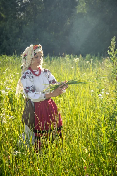 Young girl, Ukrainian national costume, works in the fields, rea — Stok fotoğraf