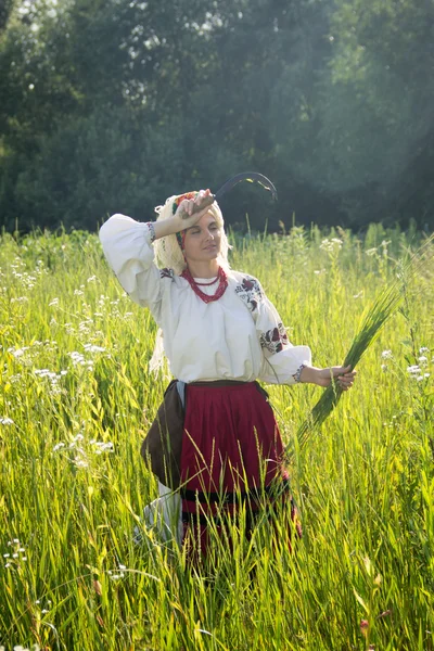 Young girl, Ukrainian national costume, works in the fields, rea — Zdjęcie stockowe