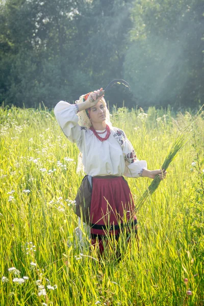 Young girl, Ukrainian national costume, works in the fields, rea — 스톡 사진