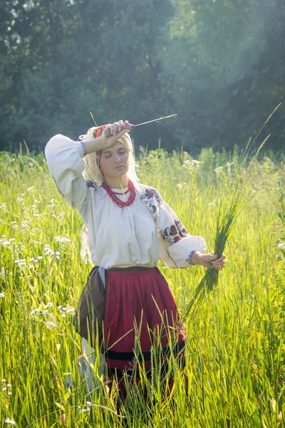 Young girl, Ukrainian national costume, works in the fields, rea — ストック写真