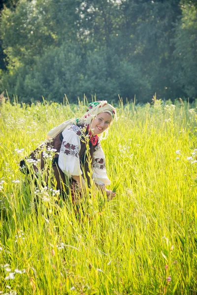 Young girl, Ukrainian national costume, works in the fields, rea — 图库照片