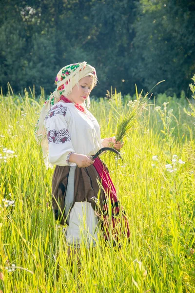 Young girl, Ukrainian national costume, works in the fields, rea — ストック写真