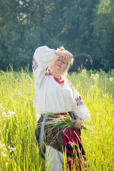 Young girl, Ukrainian national costume, works in the fields, rea — Stock Fotó