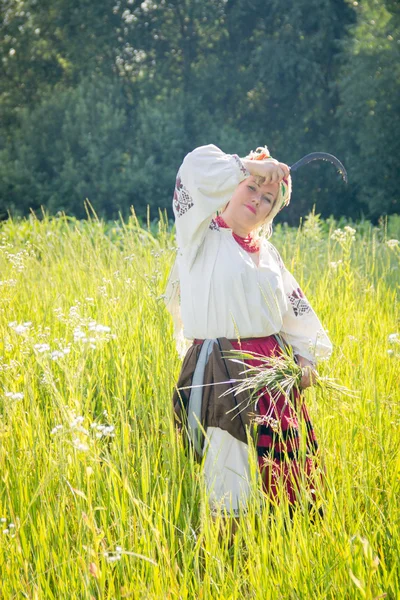Young girl, Ukrainian national costume, works in the fields, rea — Zdjęcie stockowe