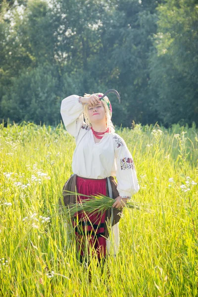 Young girl, Ukrainian national costume, works in the fields, rea — 图库照片