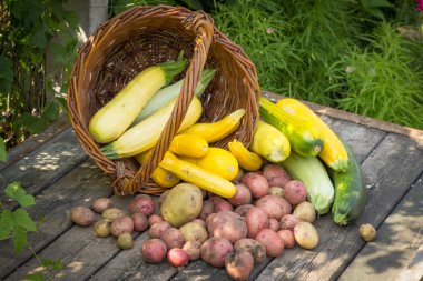Sarı, yeşil kabak, patates, eski ahşap t yere lekeli