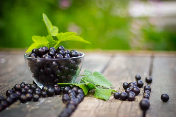 saydam bir cam kasede Siyah frenk üzümü eski w üzerinde dağınık